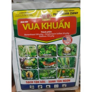 thuốc vua khuẩn 